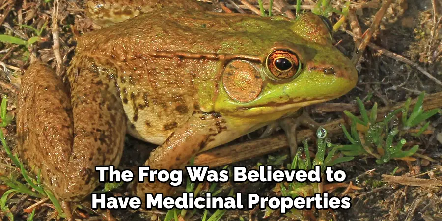 The Frog Was Believed to 
Have Medicinal Properties