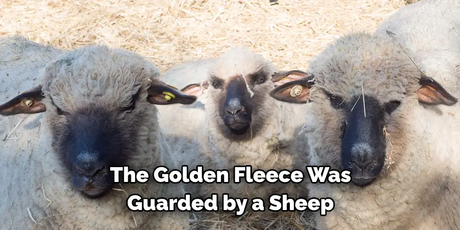 The Golden Fleece Was
Guarded by a Sheep