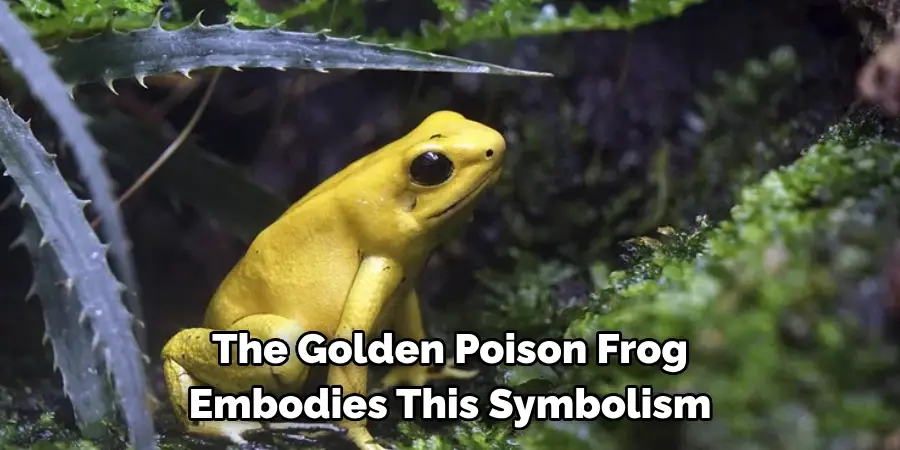The Golden Poison Frog Embodies This Symbolism