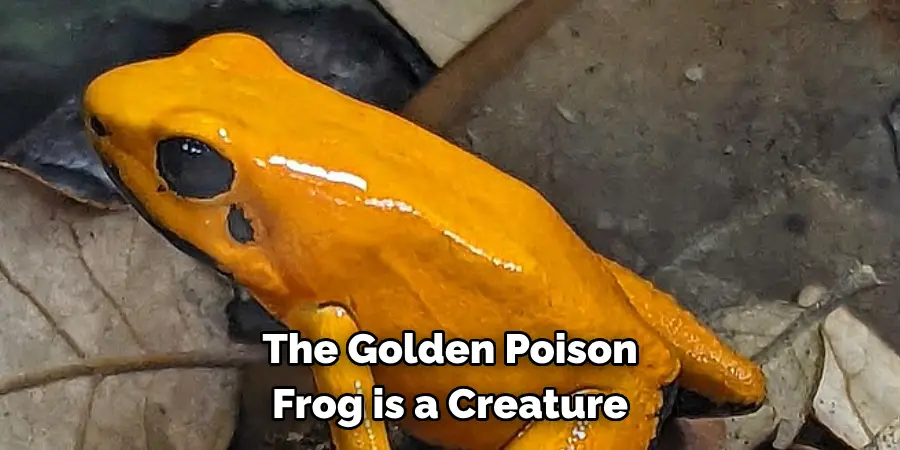 The Golden Poison 
Frog is a Creature