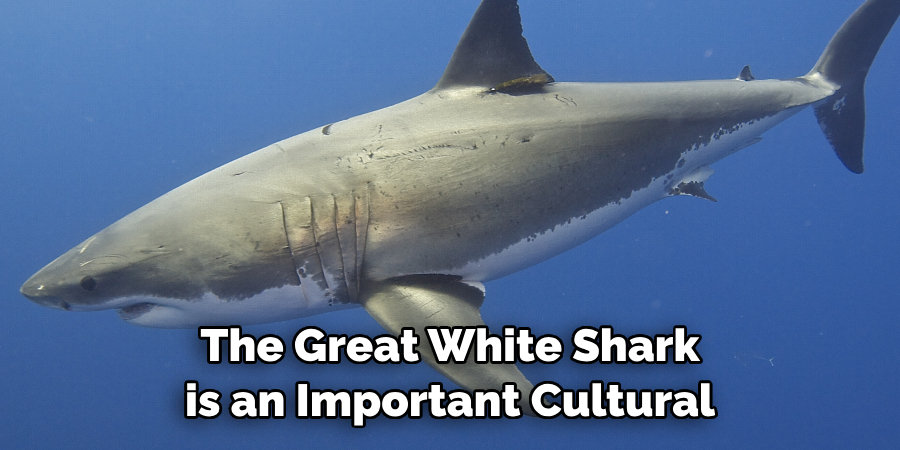 The Great White Shark
is an Important Cultural