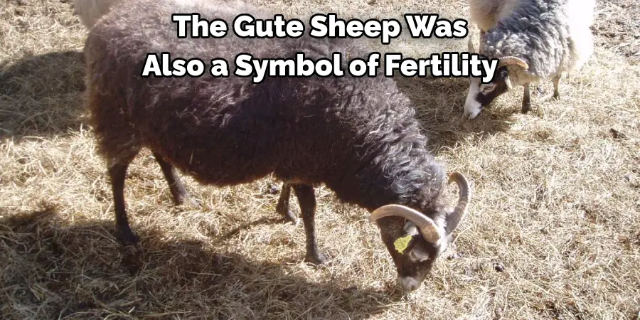 The Gute Sheep Was 
Also a Symbol of Fertility