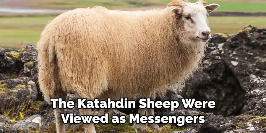 The Katahdin Sheep Were Viewed as Messengers