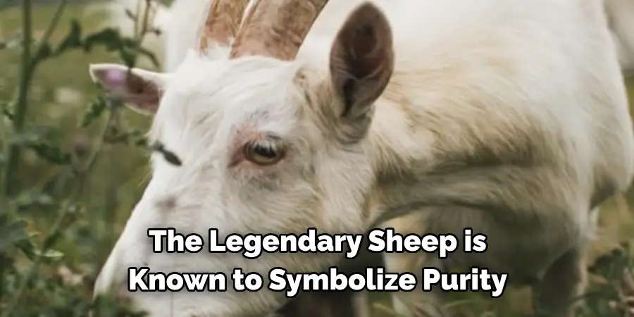 The Legendary Sheep is 
Known to Symbolize Purity