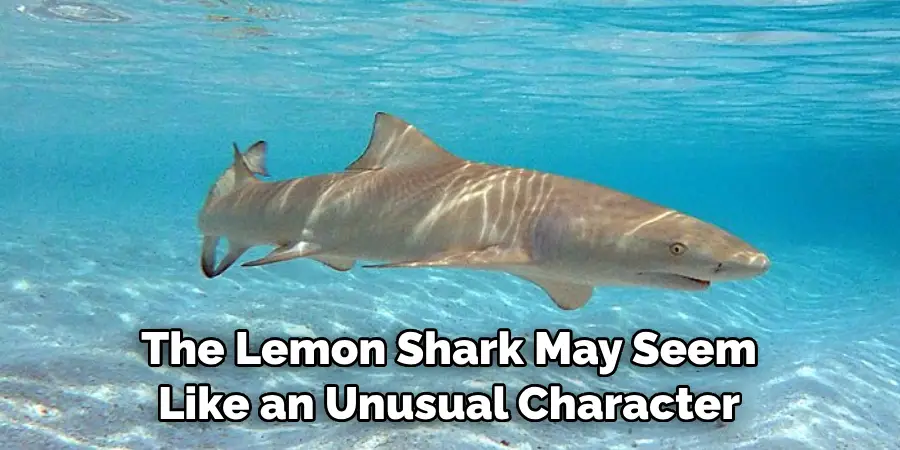 The Lemon Shark May Seem 
Like an Unusual Character