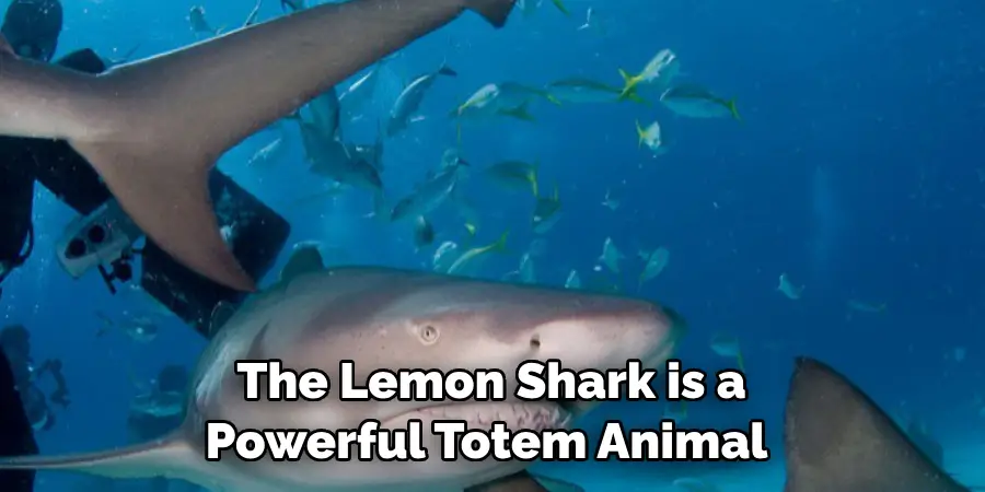 The Lemon Shark is a 
Powerful Totem Animal  