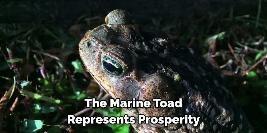 The Marine Toad 
Represents Prosperity