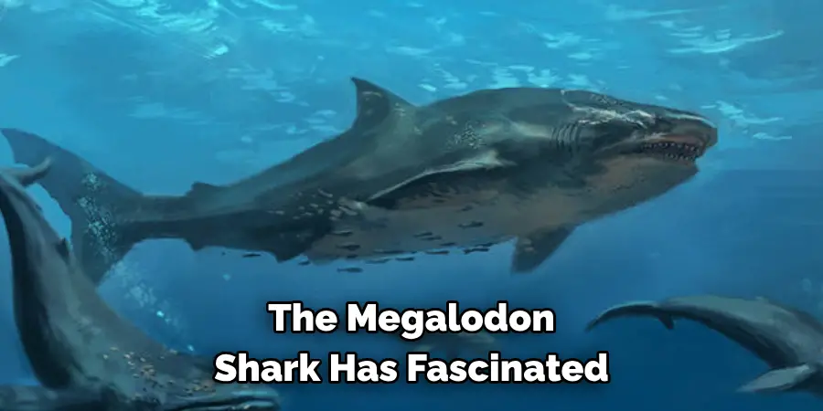 The Megalodon 
Shark Has Fascinated