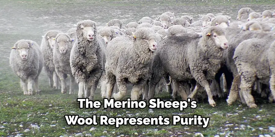 The Merino Sheep's 
Wool Represents Purity