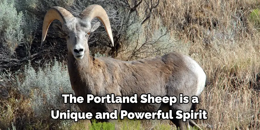 The Portland Sheep is a 
Unique and Powerful Spirit 