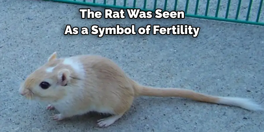 The Rat Was Seen 
As a Symbol of Fertility