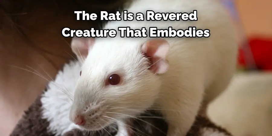 The Rat is a Revered 
Creature That Embodies