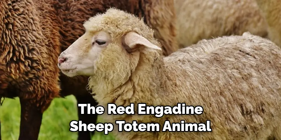 The Red Engadine 
Sheep Totem Animalb
