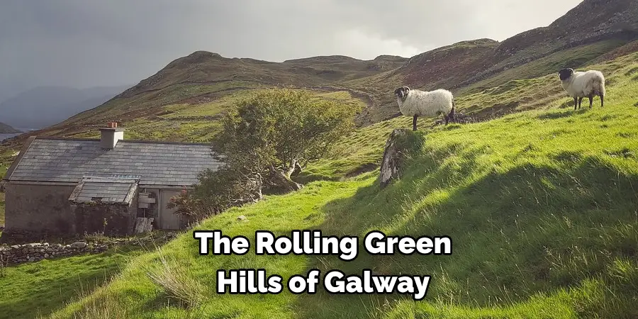 The Rolling Green 
Hills of Galway