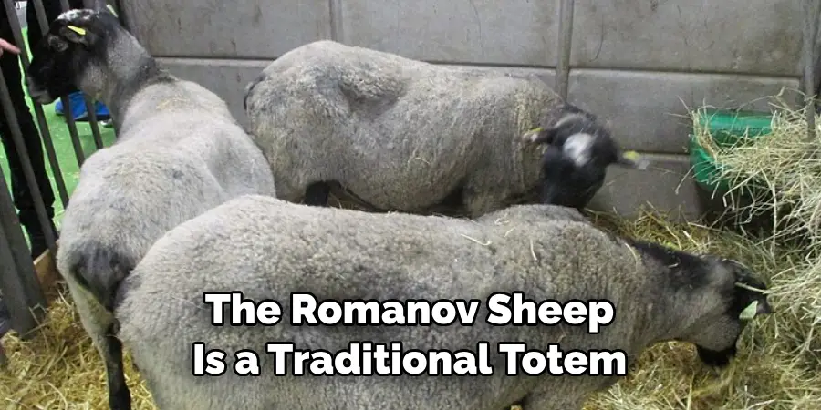 The Romanov Sheep
Is a Traditional Totem 
