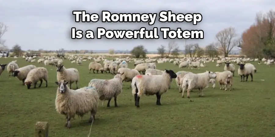 The Romney Sheep 
Is a Powerful Totem