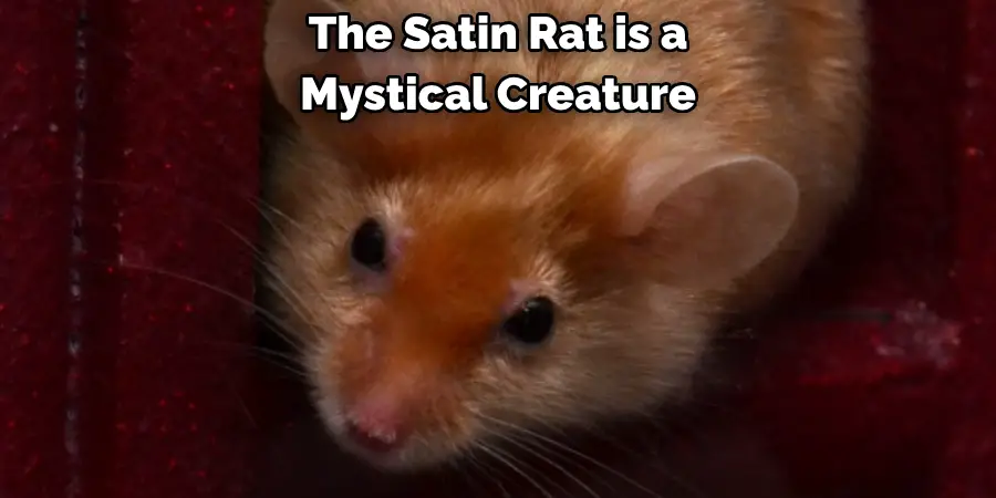 The Satin Rat is a
Mystical Creature