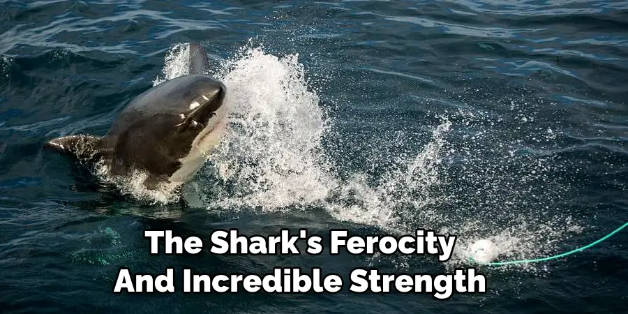 The Shark's Ferocity 
And Incredible Strength