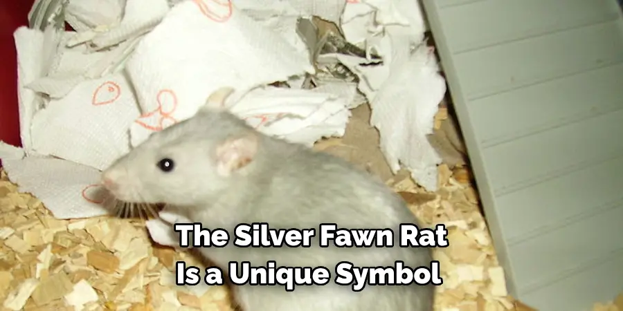 The Silver Fawn Rat 
Is a Unique Symbol 