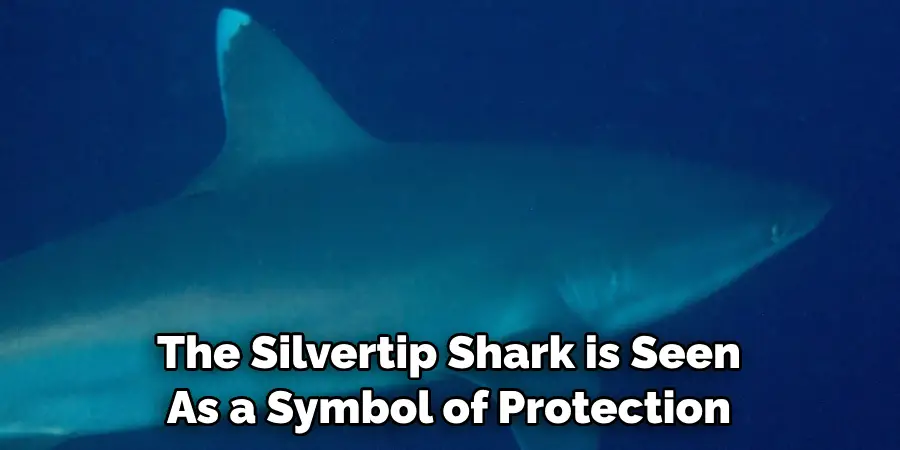 The Silvertip Shark is Seen As a Symbol of Protection