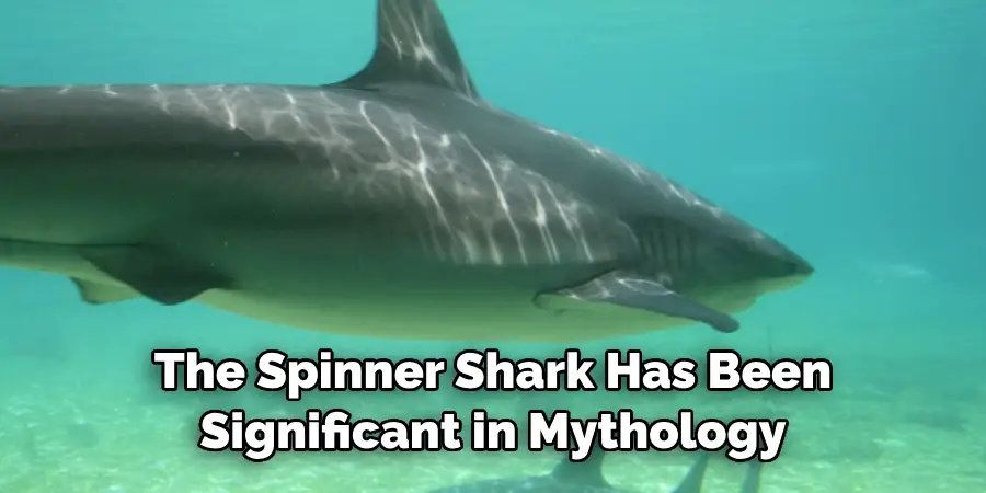 The Spinner Shark Has Been
Significant in Mythology