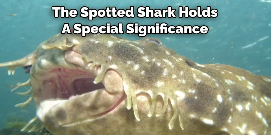 The Spotted Shark Holds 
A Special Significance