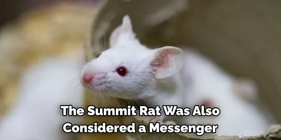 The Summit Rat Was Also 
Considered a Messenger