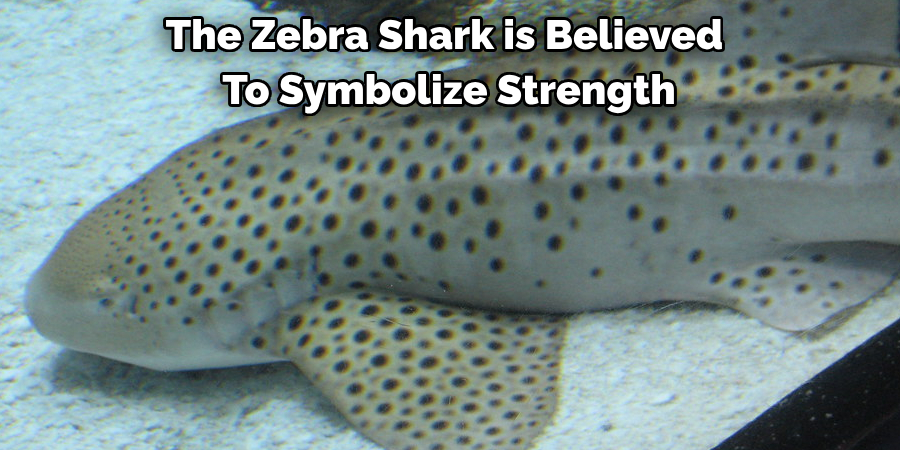 The Zebra Shark is Believed 
To Symbolize Strength