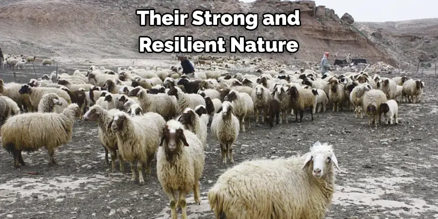 Their Strong and Resilient Nature
