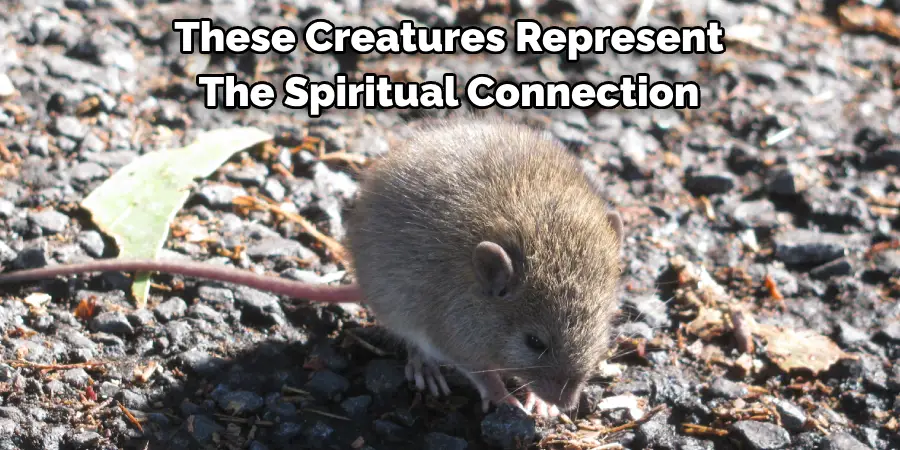 These Creatures Represent
The Spiritual Connection