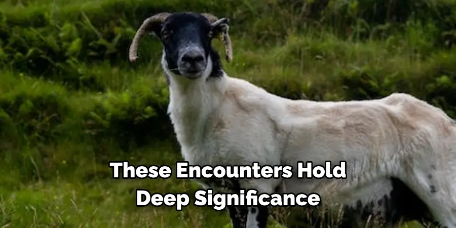 These Encounters Hold 
Deep Significance