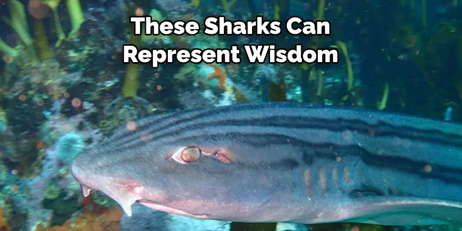 These Sharks Can 
Represent Wisdom