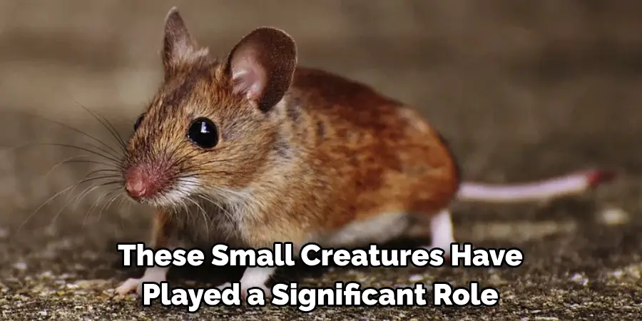 These Small Creatures Have
Played a Significant Role