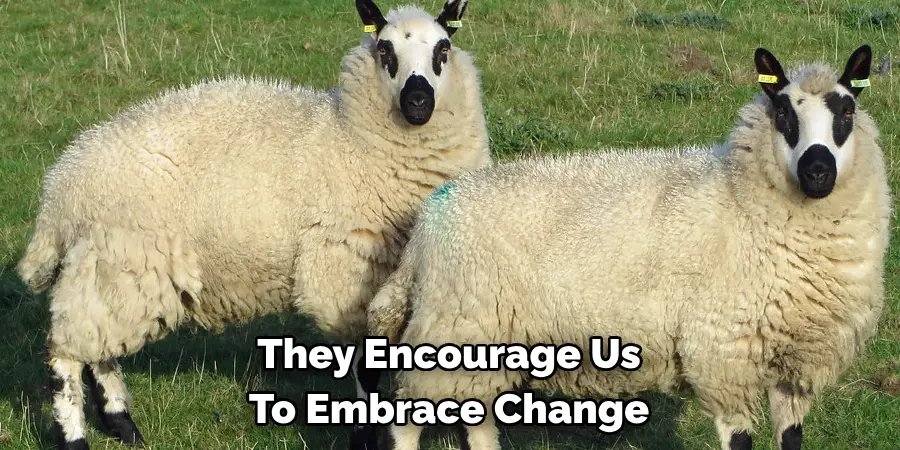 They Encourage Us 
To Embrace Change