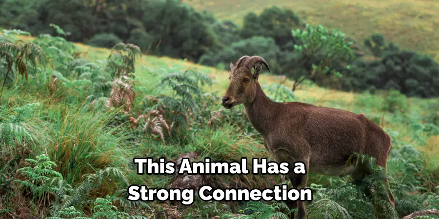 This Animal Has a 
Strong Connection