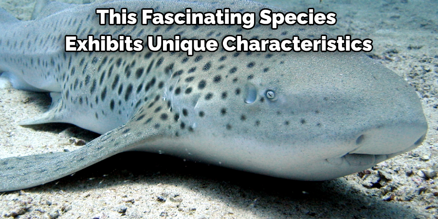 This Fascinating Species Exhibits Unique Characteristics
