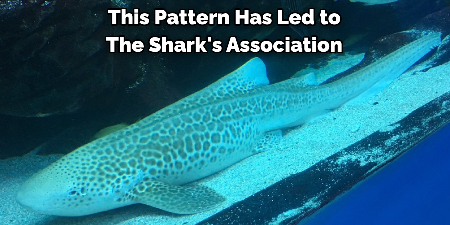 This Pattern Has Led to 
The Shark's Association