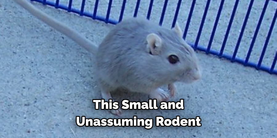 This Small and 
Unassuming Rodent 