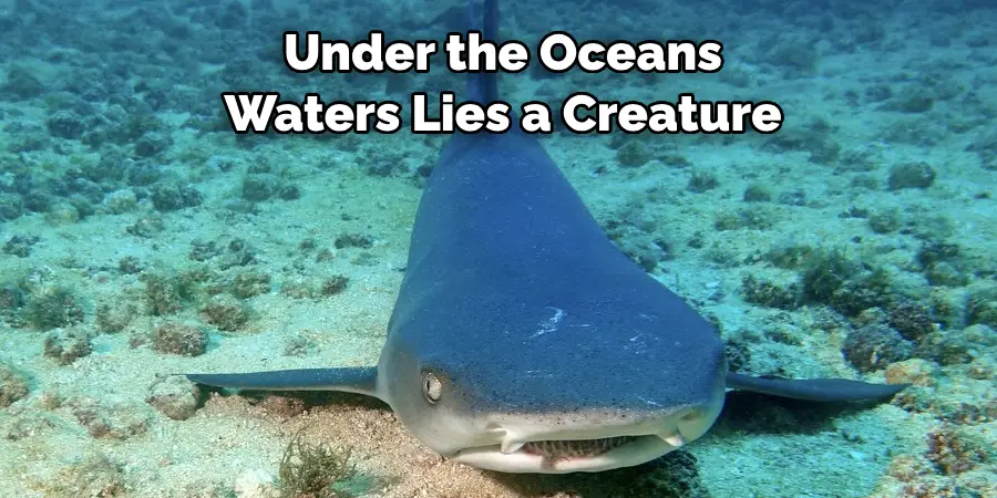 Under the Ocean's 
Waters Lies a Creature