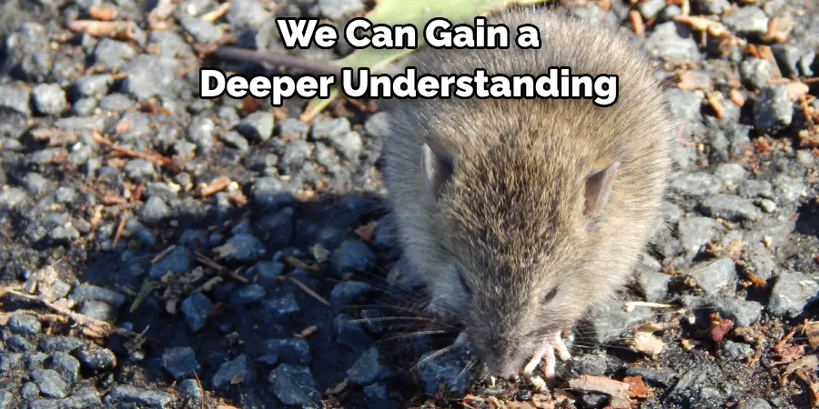 We Can Gain a 
Deeper Understanding 