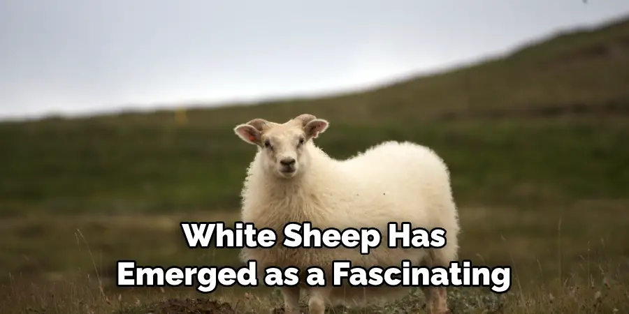 White Sheep Has 
Emerged as a Fascinating 