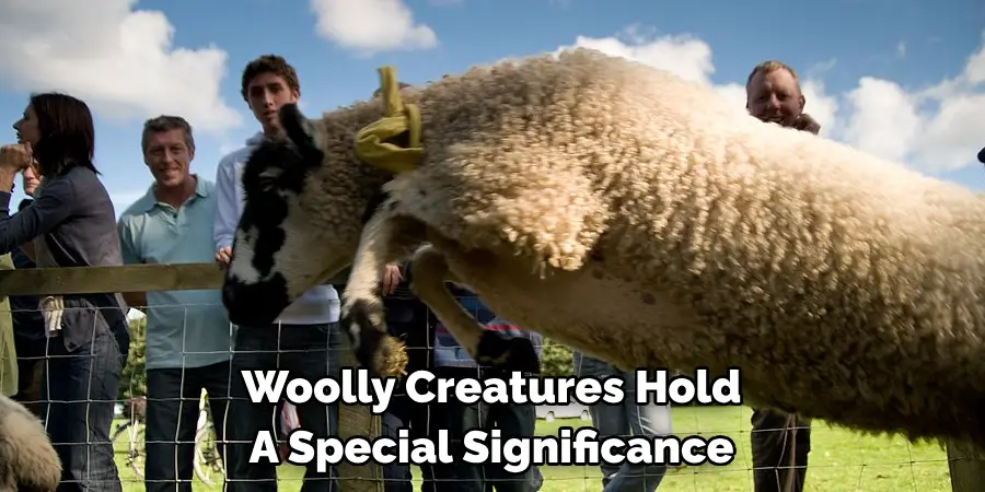 Woolly Creatures Hold 
A Special Significance