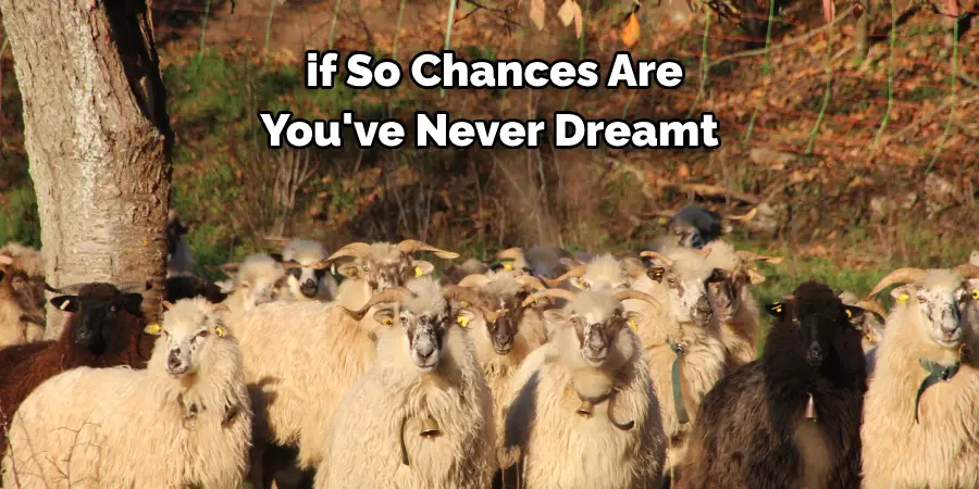  if So, Chances Are 
You've Never Dreamt