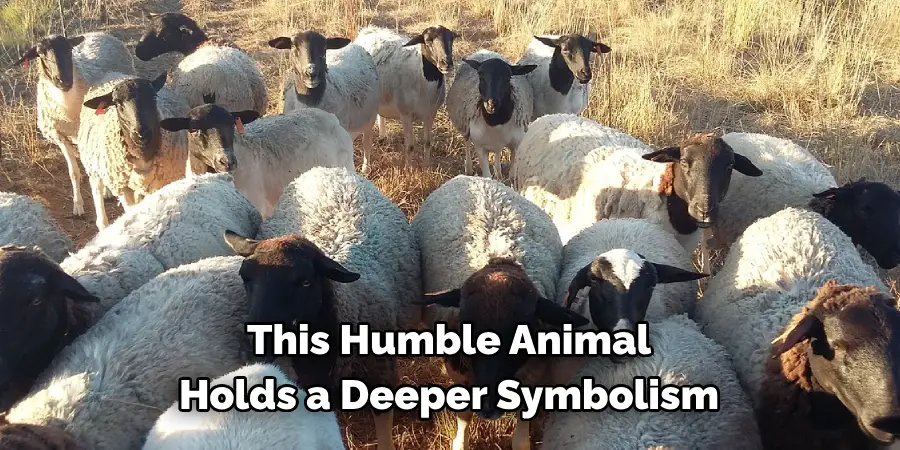 this humble animal holds a deeper symbolism