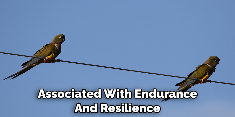 Associated With Endurance And Resilience