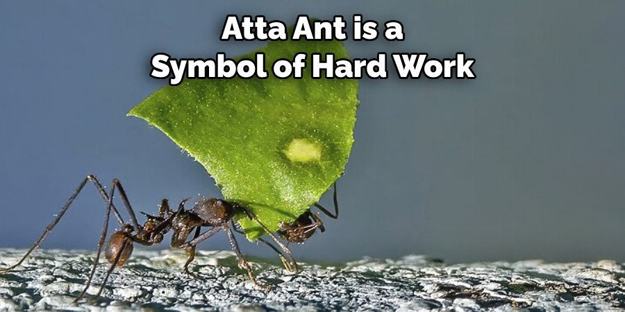 Atta Ant is a Symbol of Hard Work