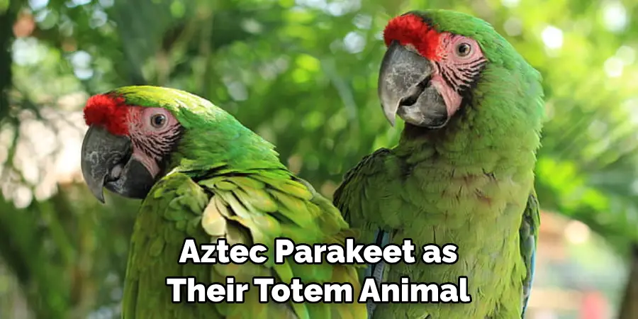 Aztec Parakeet as Their Totem Animal