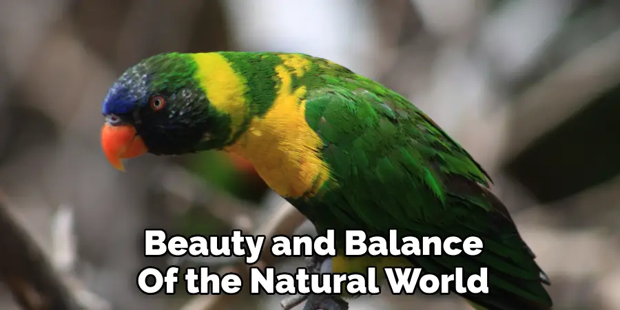Beauty and Balance 
Of the Natural World