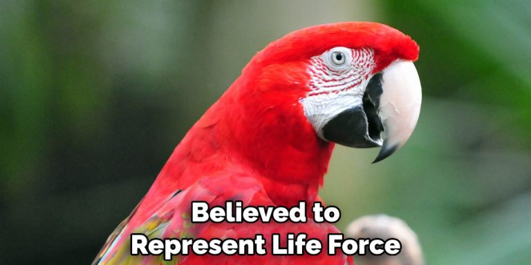 Scarlet Macaw Spiritual Meaning, Symbolism and Totem (2025)