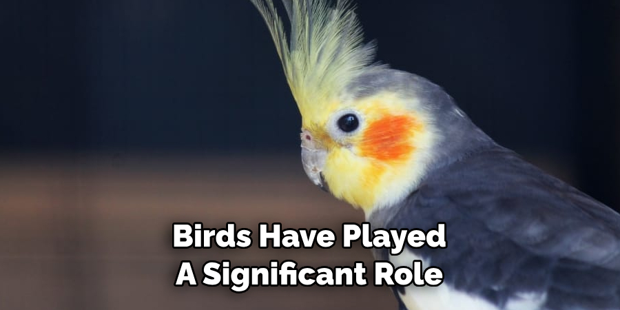 Birds Have Played A Significant Role